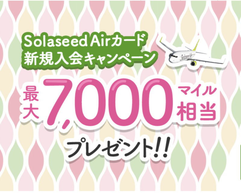 終了しました】ソラシドエアの新規就航記念キャンペーンに注目！東京−沖縄線の特典航空券を片道最安1000マイルで予約可能です！ - OKA-P  official blog